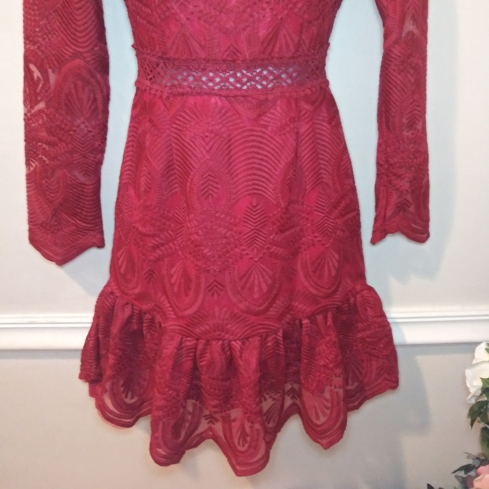 Xenia Boutique Sexy Burgundy Embroidered Net Ruffled Hem Mini Dress - Picture 4 of 16